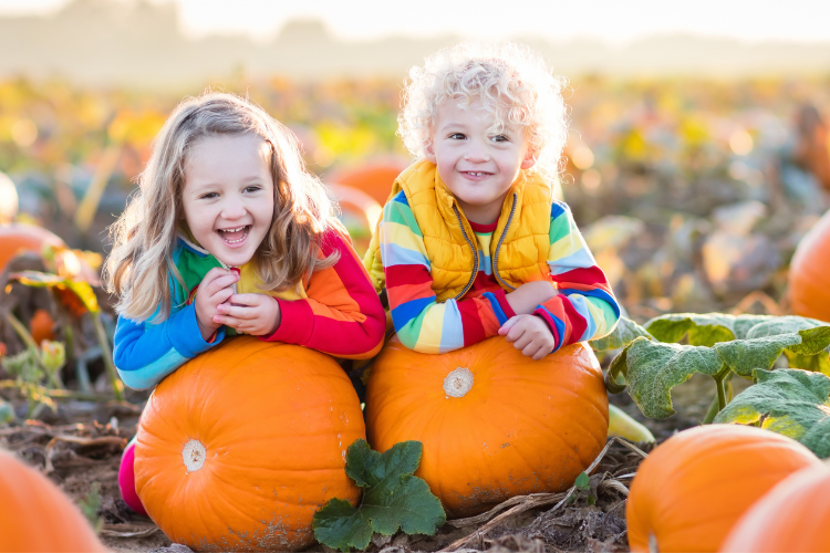 Pumpkin patches in Sacramento - Keema's Pumpkin Farm