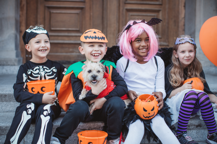 Trick or Treat in The San Francisco Bay Area with Kids