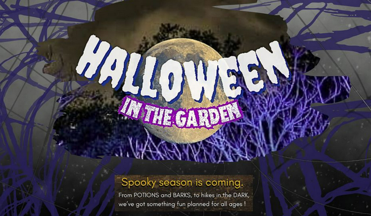 Trick-or-Treat in the Garden