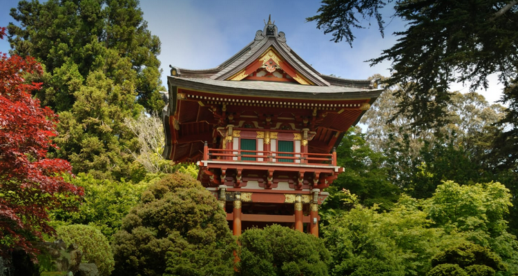 Things to do on Thanksgiving in San Francisco - Japanese Tea Garden San Francisco