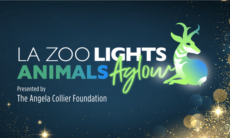 L.A. Zoo Lights: Animals Aglow