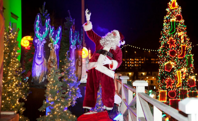 Christmas Lights in Sacramento - Theatre of Lights