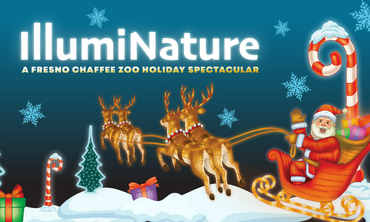 Photos with Santa at Illuminature