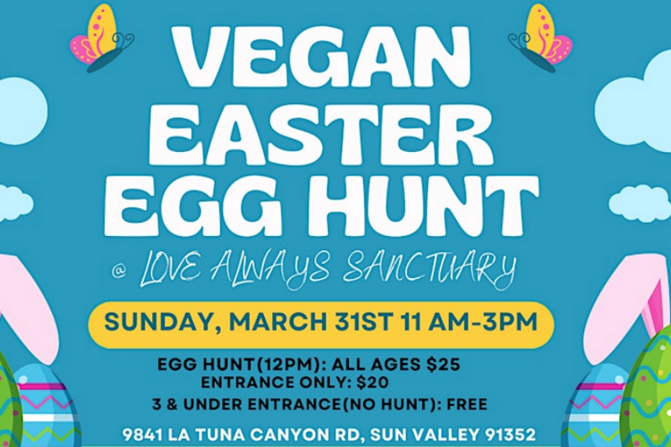 Vegan Easter Egg Hunt at Love Always Sanctuary