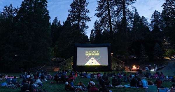 Movies Under The Pines