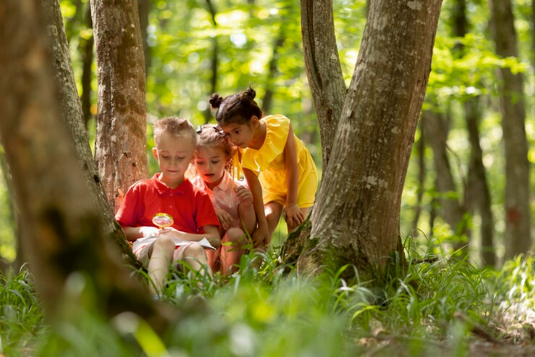 San Jose kids activities and attractions - Treat Your Kids to a Nature Adventure