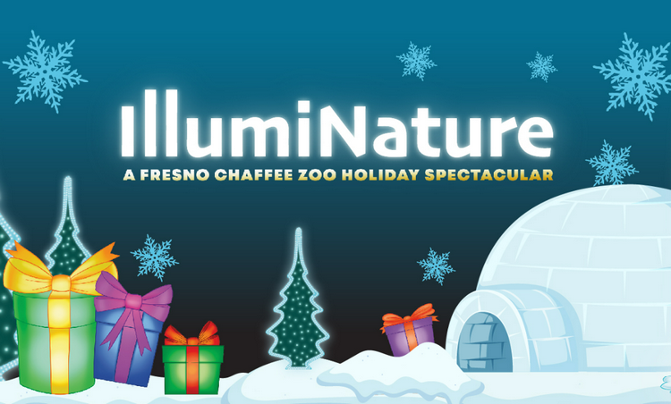 Thanksgiving Day event in Fresno with kids - Illuminature