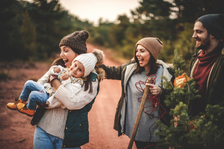 Sacramento Christmas tree farms